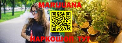 индика Кандалакша