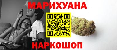 индика Кандалакша