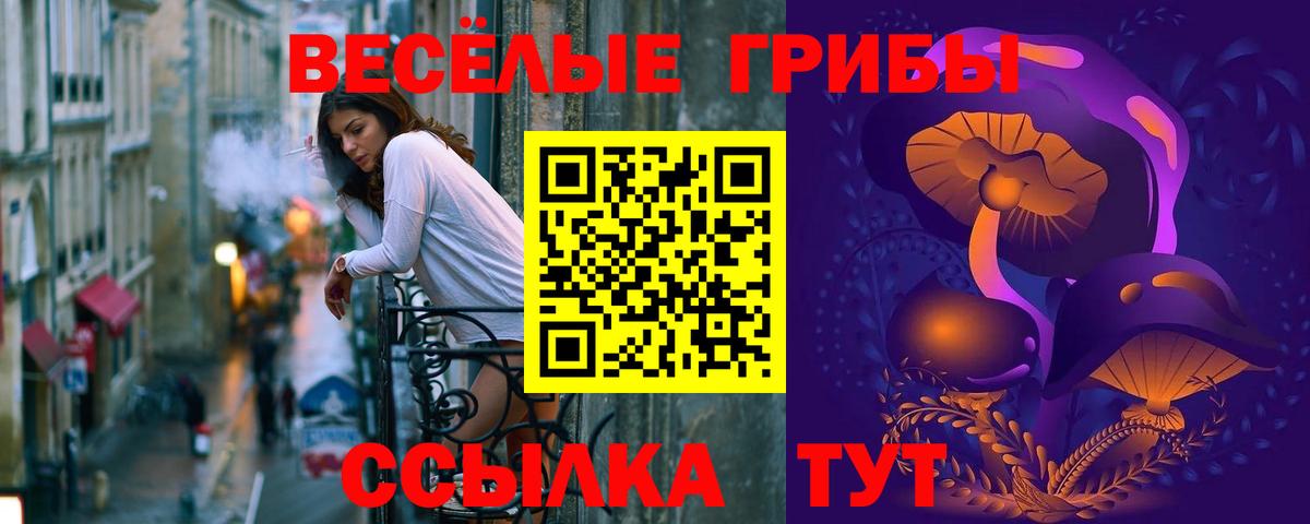 Псилоцибиновые грибы Psilocybine cubensis Кудымкар